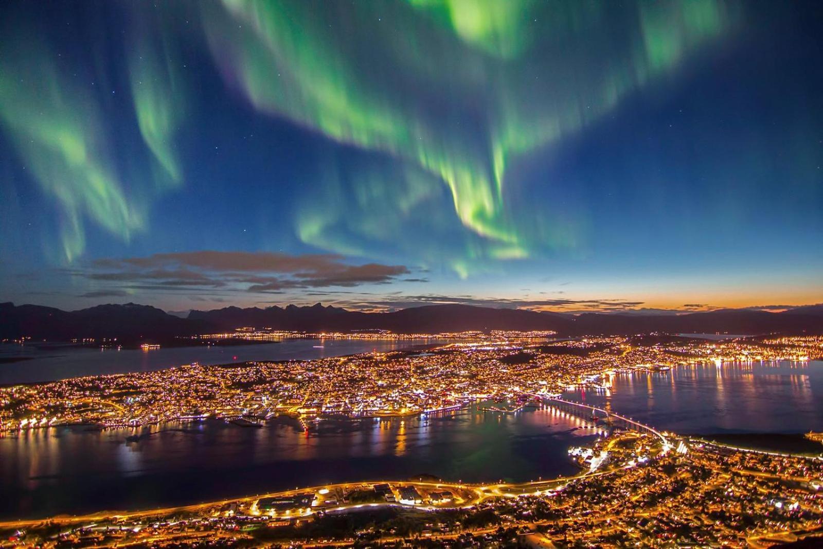 Aurora Wave *