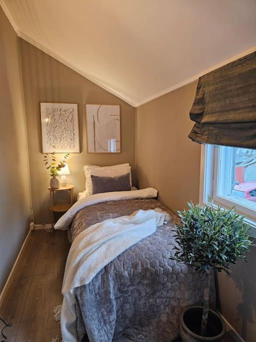 Appartement Urban In Center!