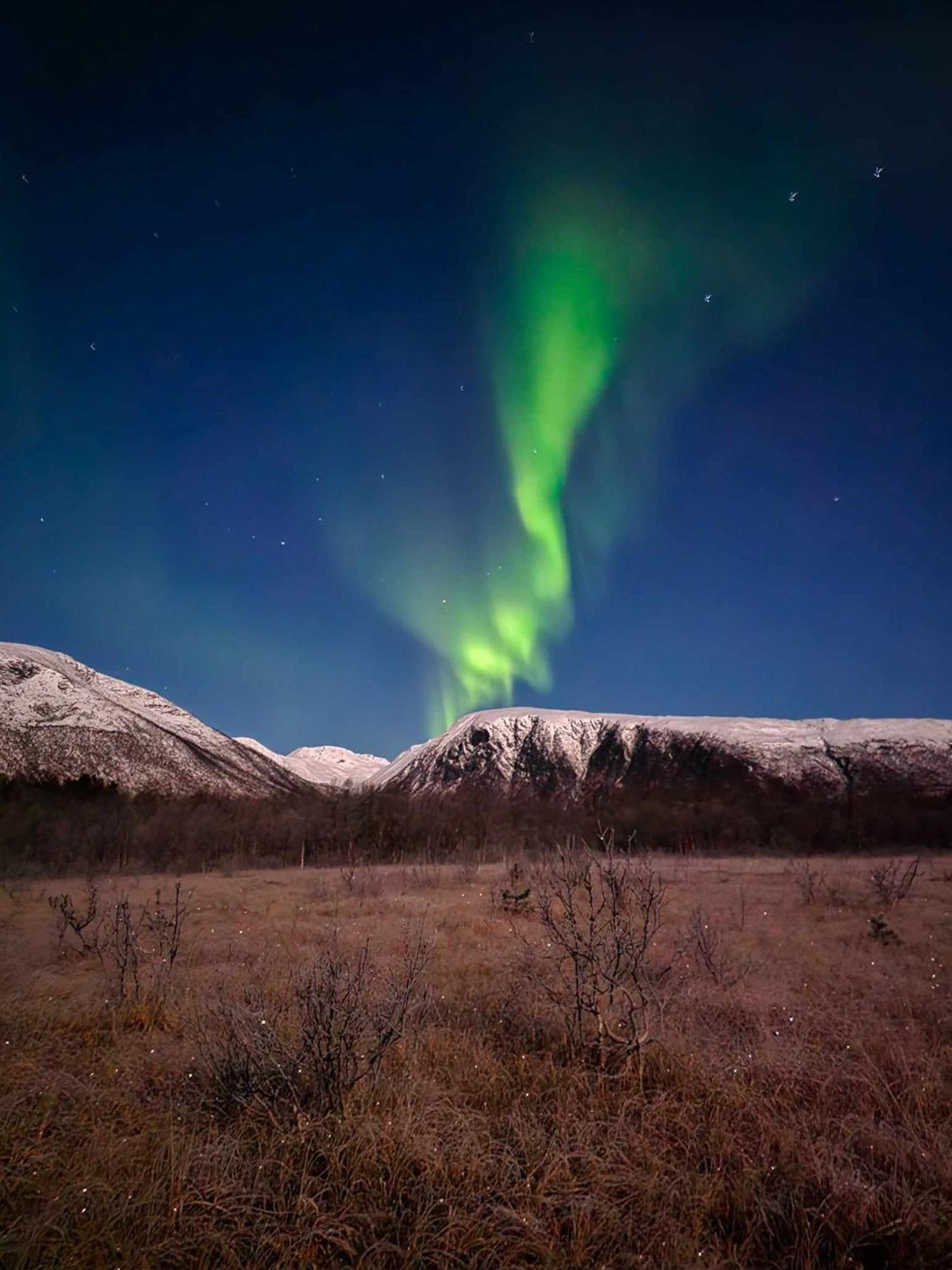 Annebo Tromsø
