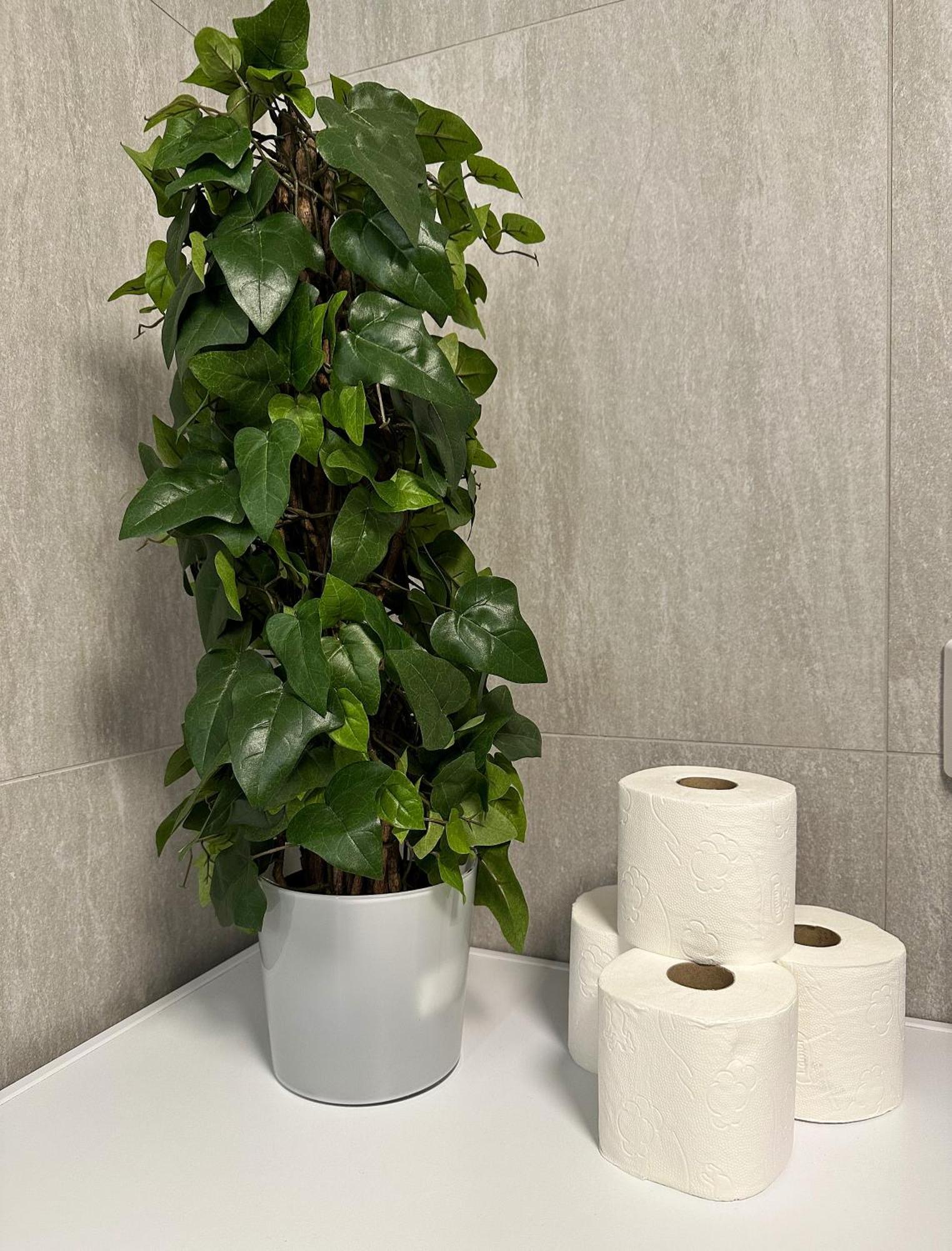 Appartement Sentral Med 3 Soverom Og Kjokken - Mare *