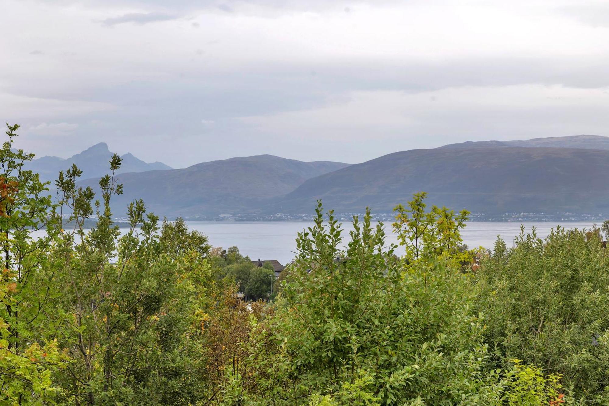 Nansen - New Exclusive Villa, Multiple Units Villa