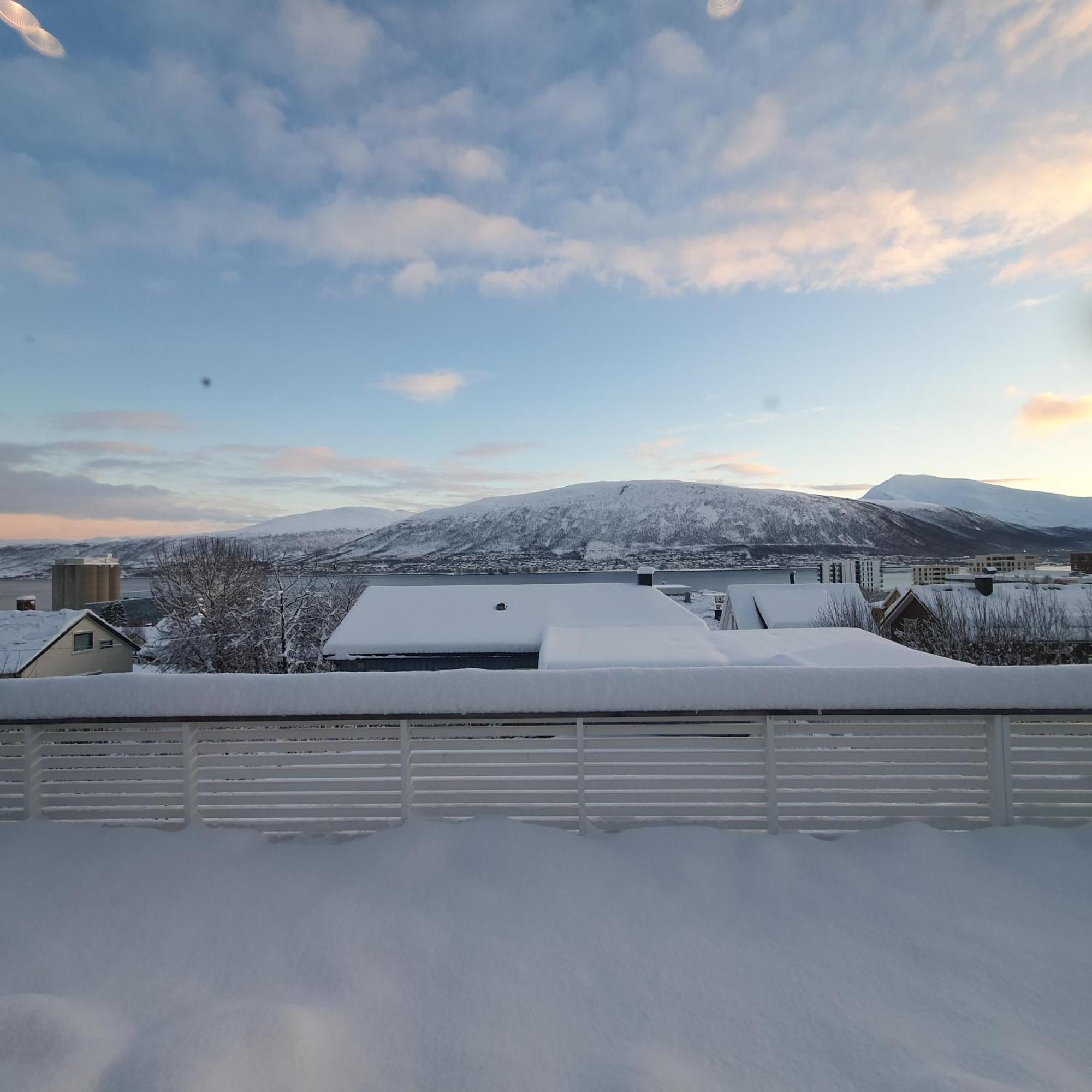 Apartment Arctic View - Sentral With Free Parking