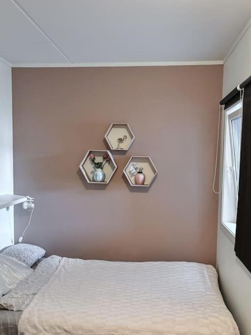 Cozy Northern Tromso