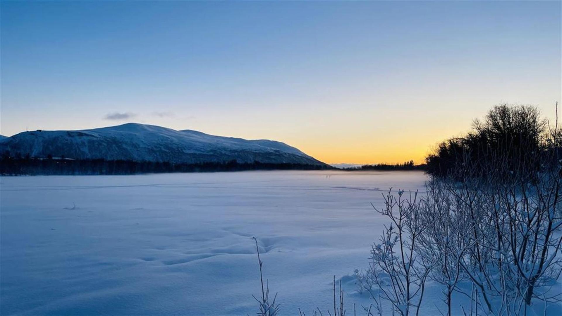 Arctic Escape In Leilighet Tromsø