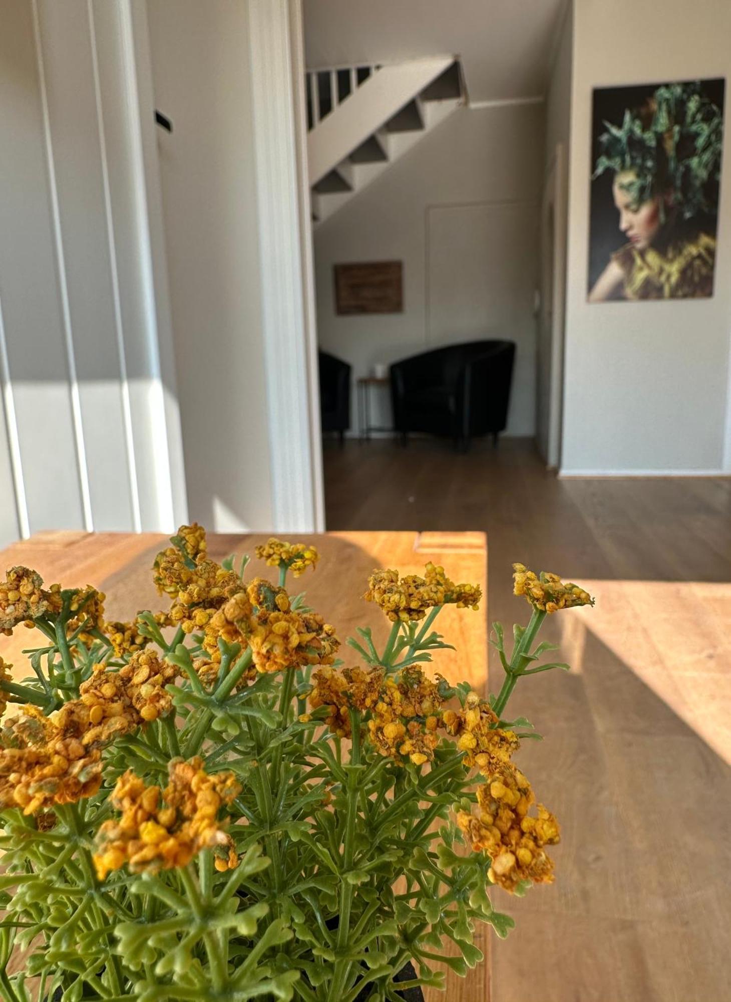 Apartment Sentrumsnaer Med 4 Soverom - Aurora Tromso