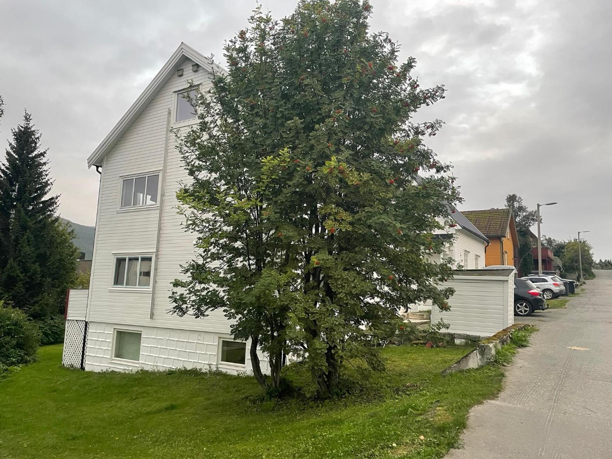 Apartment The Aurora Garden - 1bedroom - Walking Distance From Center Tromso