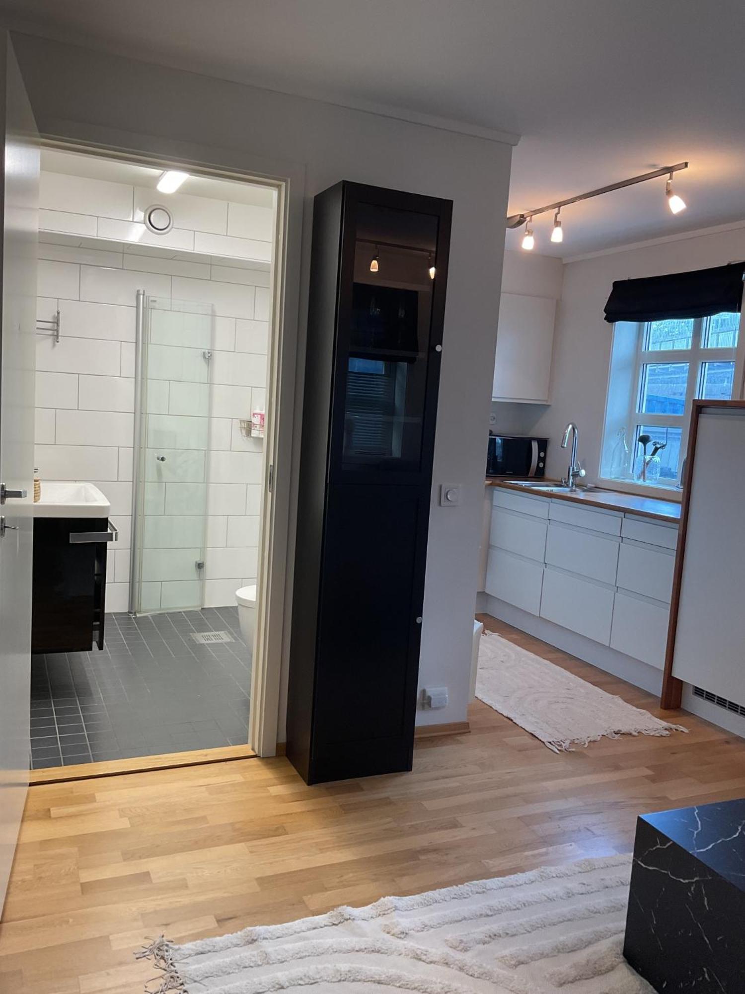 Apartment Skansegata 6b *