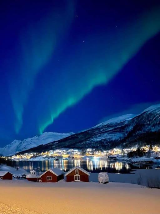 Eidekollen Hoveddel * Tromsø