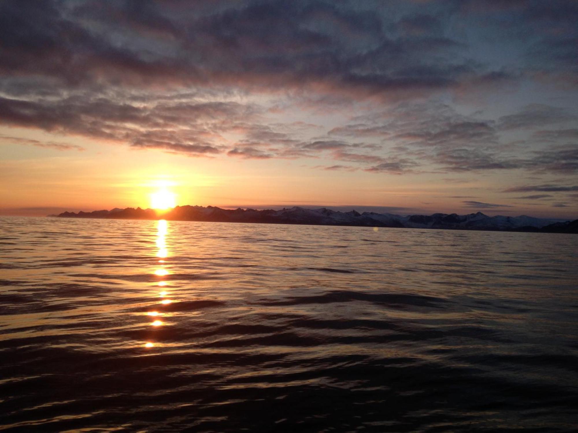 Homestay For Rent In - Close To Everything - Good Facilities Tromso