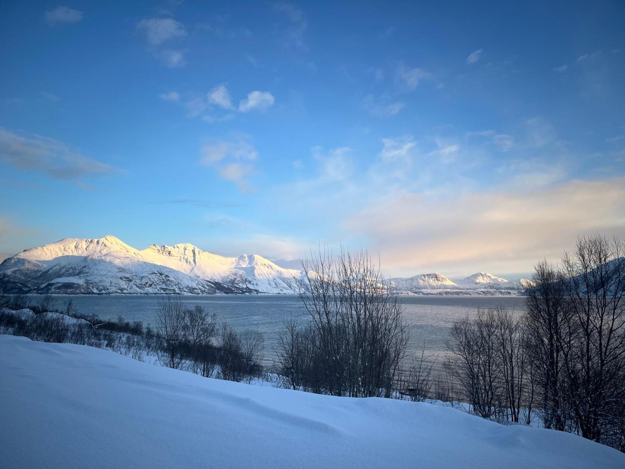 Homestay For Rent In - Close To Everything - Good Facilities Tromso