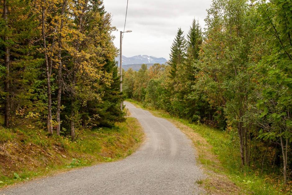 Rom Til Leie I Homestay Tromso