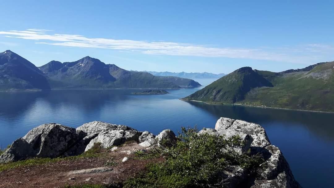I Med Flott Standard - Naert Alt Tromso