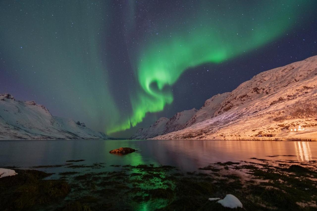 I Med Flott Standard - Naert Alt Tromso