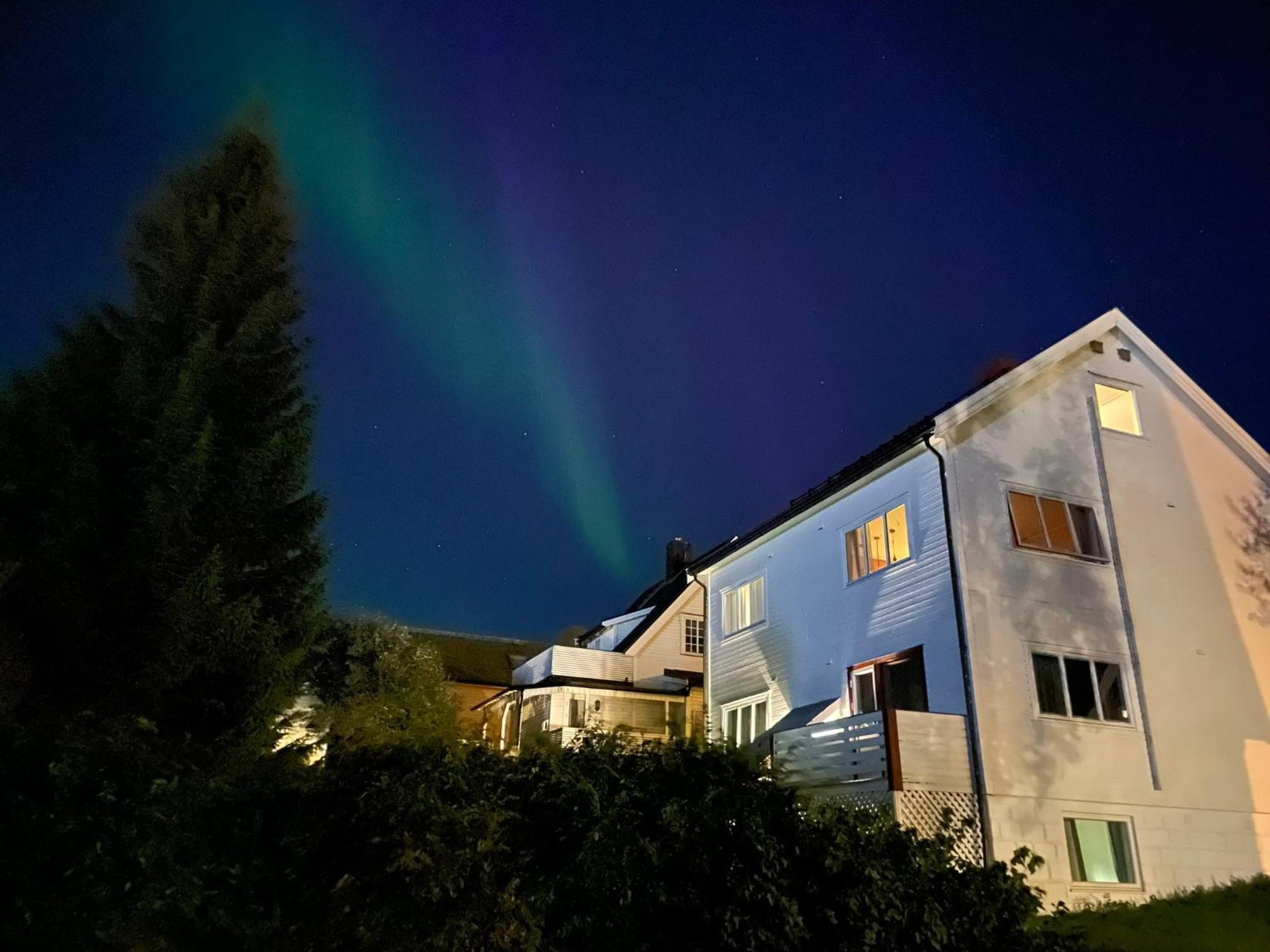 Apartment The Aurora Garden - 1bedroom - Walking Distance From Center Tromso