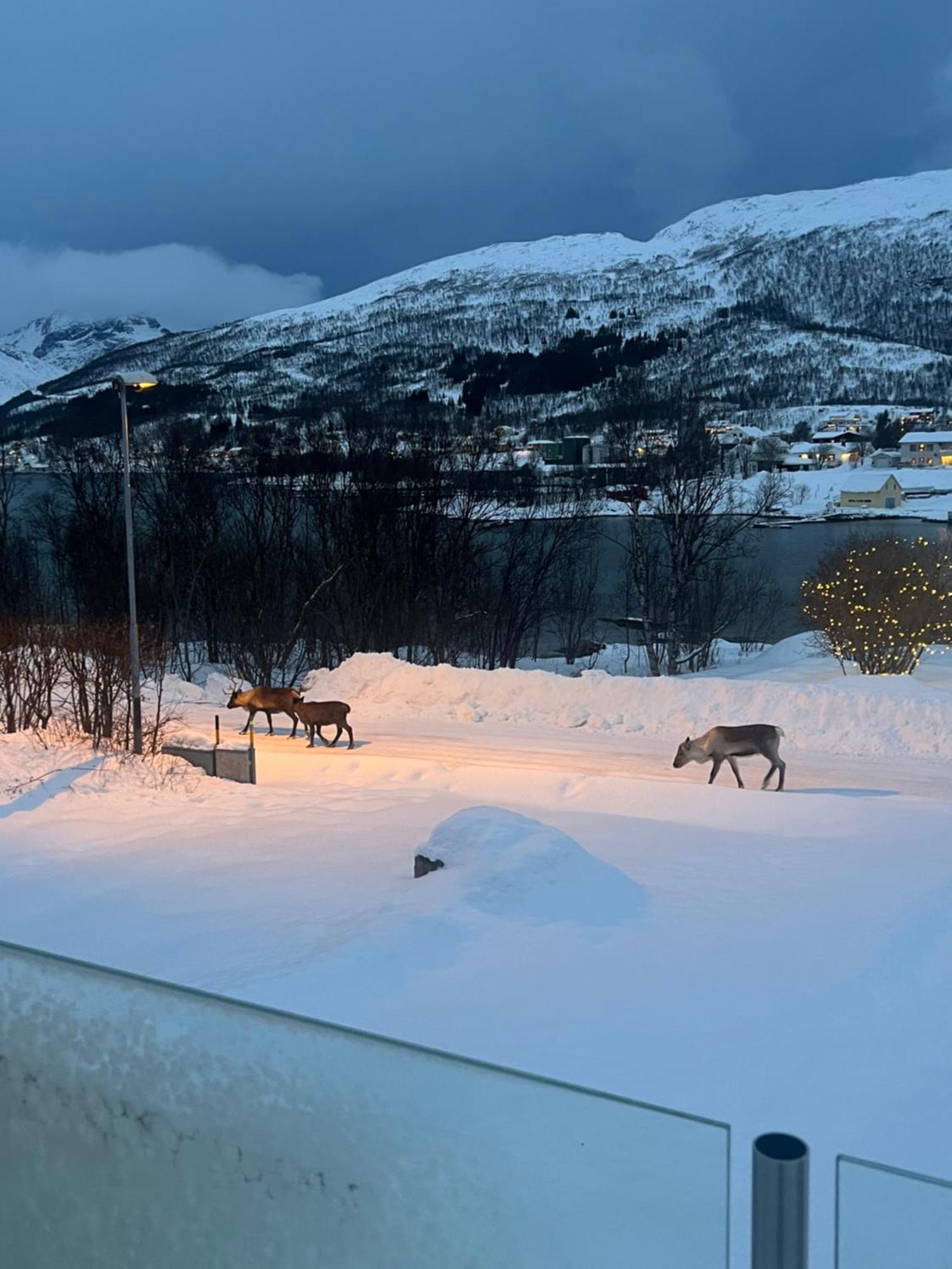 My Kaldfjorden