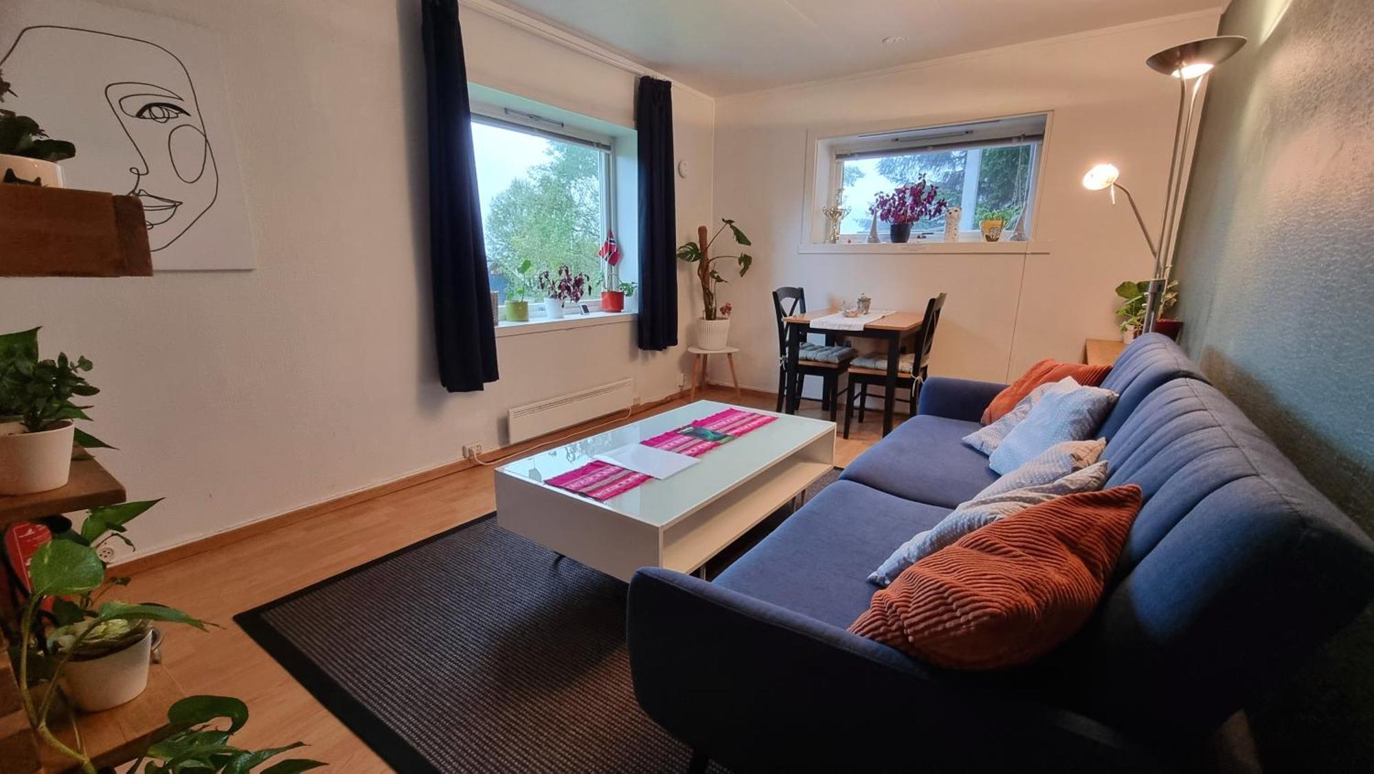 Cosy * Tromsø