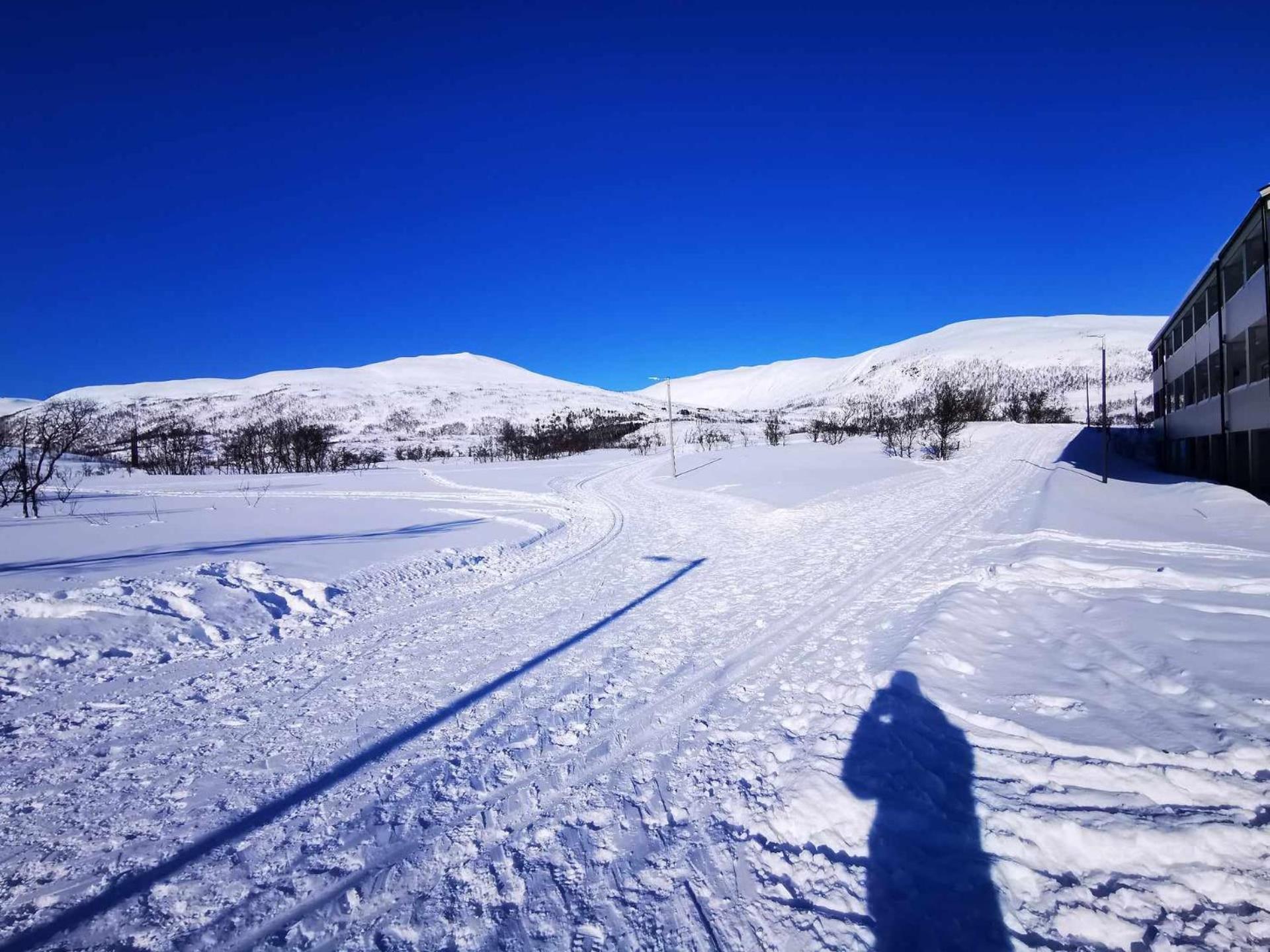 Modern 2 Bedroom Luxury King Bed, New Queen Bed, Free Parking, Perfect For Aurora Hunting And Exploring Kvaloya, Tromso, And Surrounding Islands Year-round Tromsø
