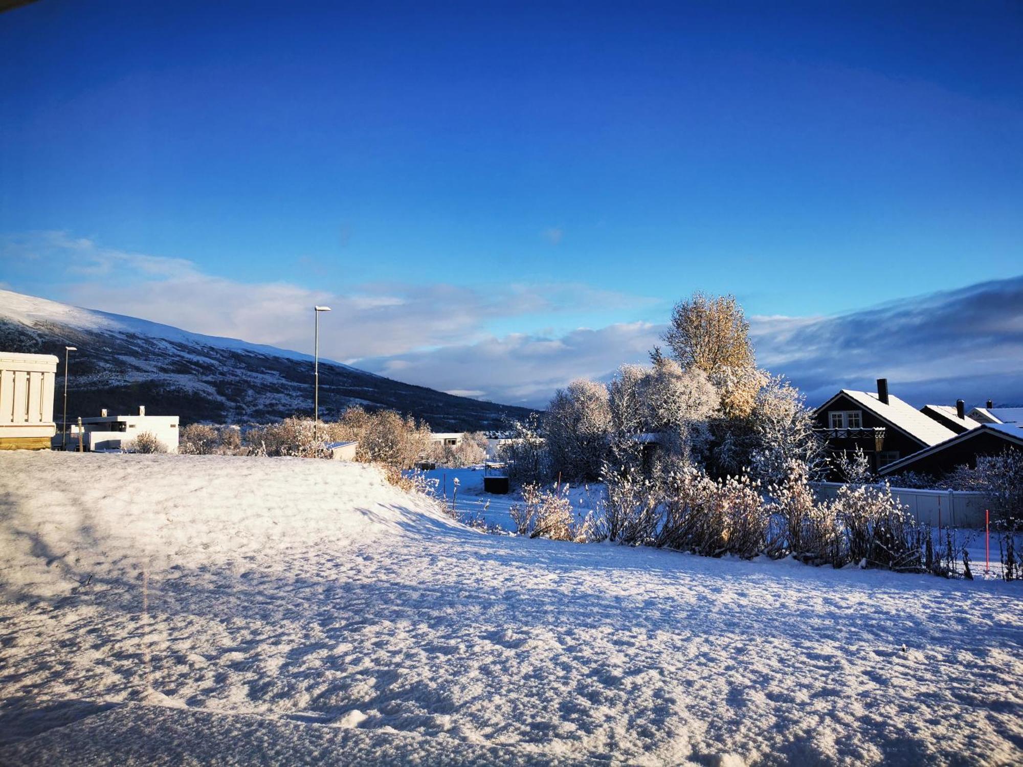 Modern 2 Bedroom Luxury King Bed, New Queen Bed, Free Parking, Perfect For Aurora Hunting And Exploring Kvaloya, Tromso, And Surrounding Islands Year-round Appartement