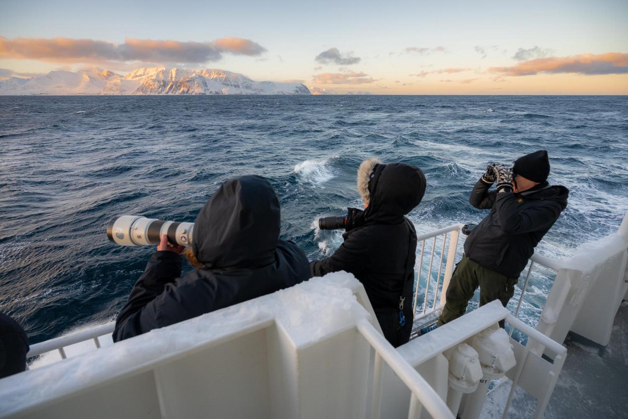 24hrs Northern Lights & Whale Watching Cruise Botel *