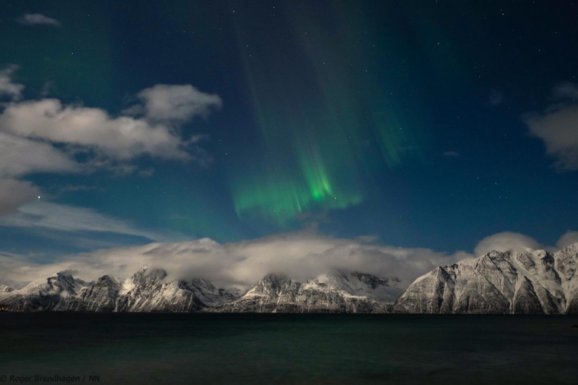 24hrs Northern Lights & Whale Watching Cruise * Tromso