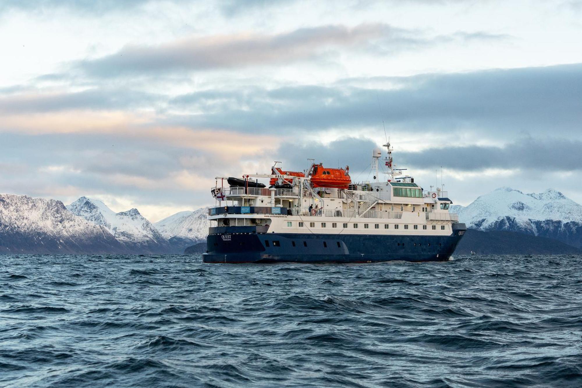 24hrs Northern Lights & Whale Watching Cruise * Tromso