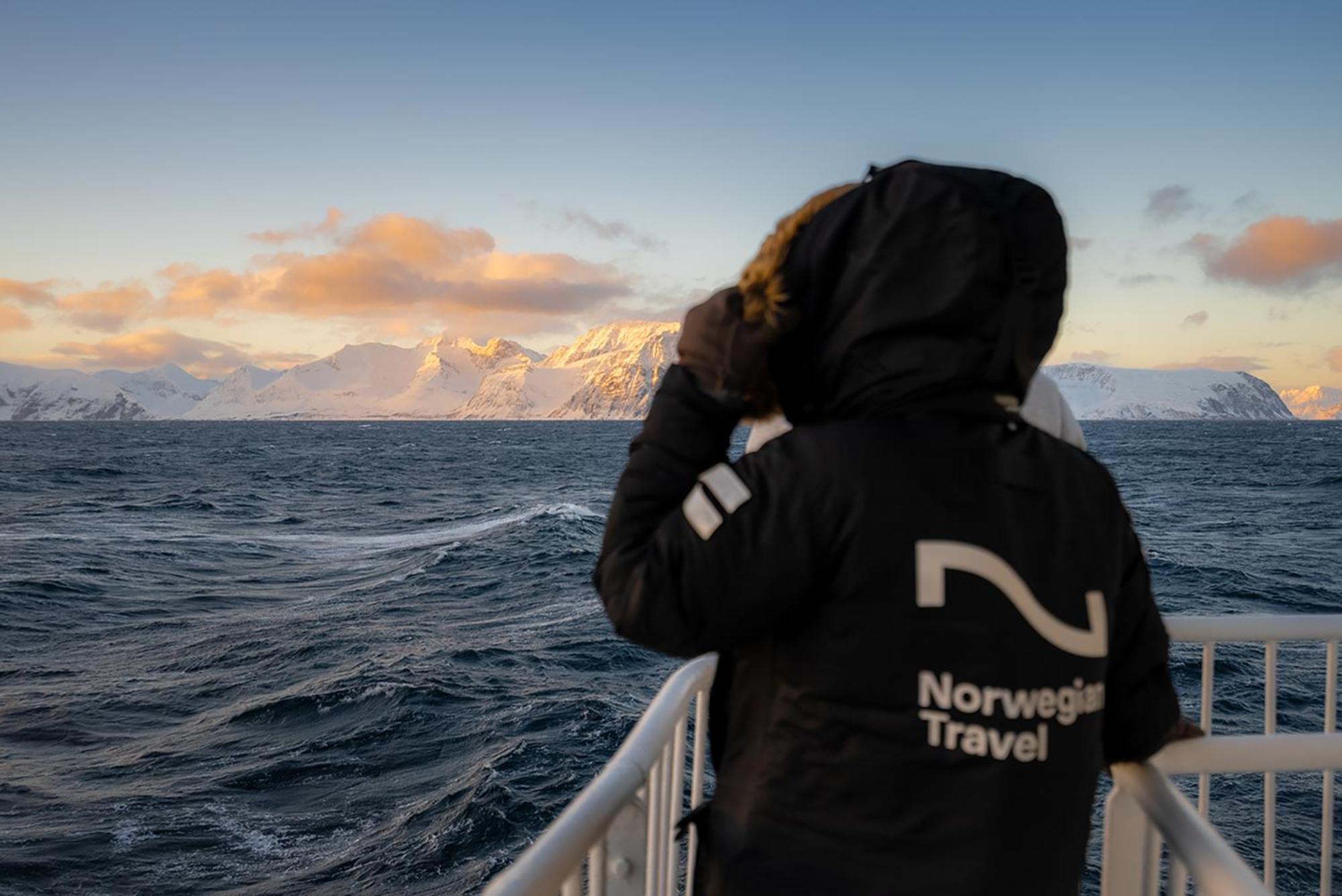 24hrs Northern Lights & Whale Watching Cruise Botel