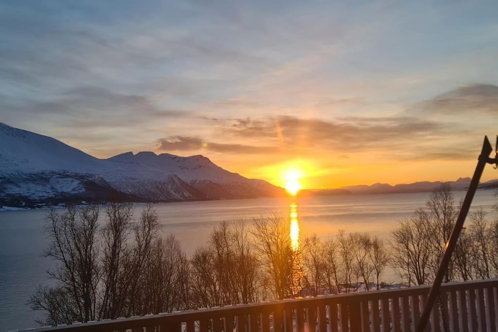 Tronderstua * Tromsø