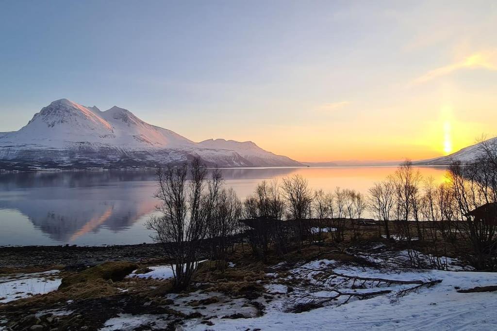 Hébergement de vacances Tronderstua Tromsø