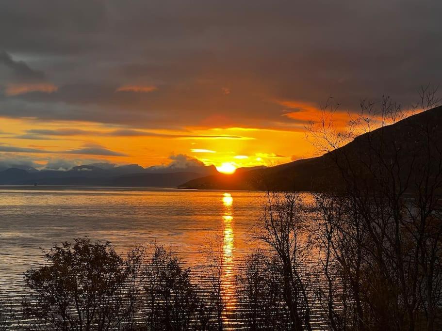 Hébergement de vacances Tronderstua Tromsø