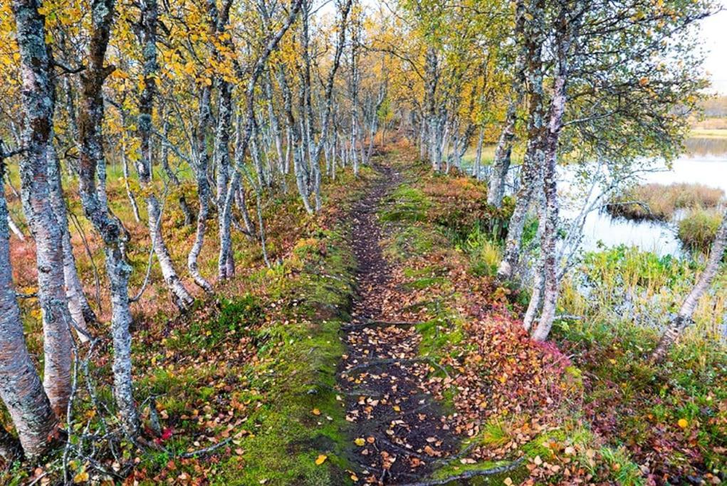 Arctic Retreat - Lovely Next To Amazing Nature * Tromso