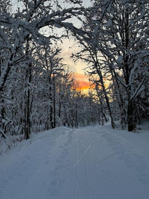 Arctic Retreat - Lovely Next To Amazing Nature
