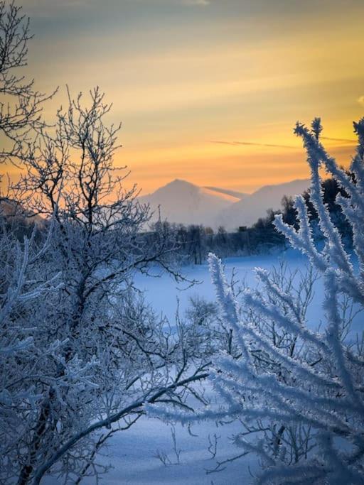 Arctic Retreat - Lovely Next To Amazing Nature *