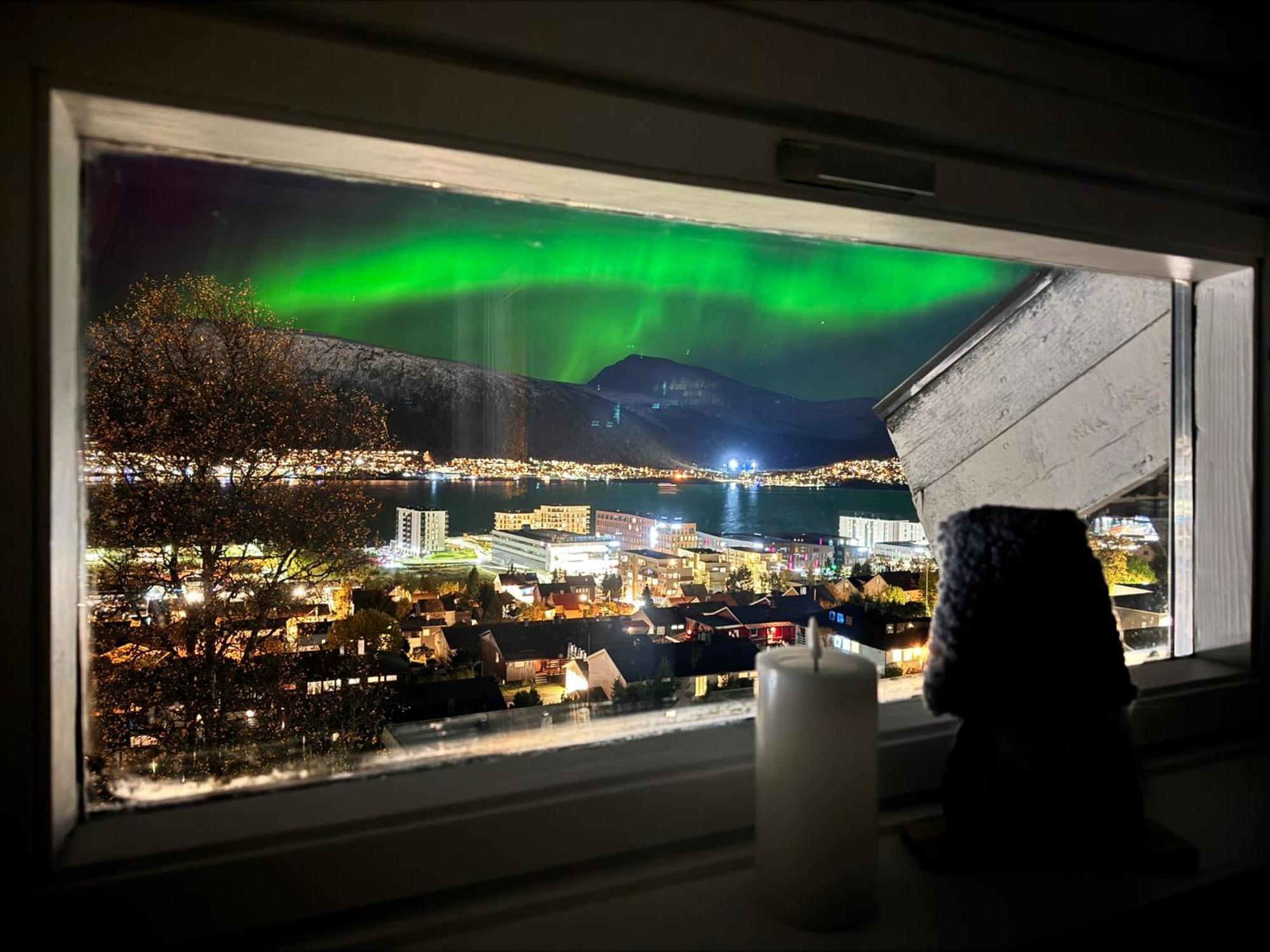 Cozy With Two Bedrooms And Beautiful View Apartment *