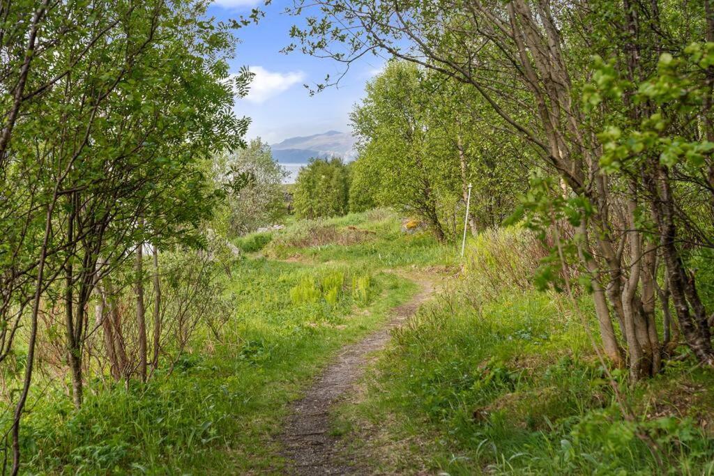 Peaceful House In Nature- No Road
