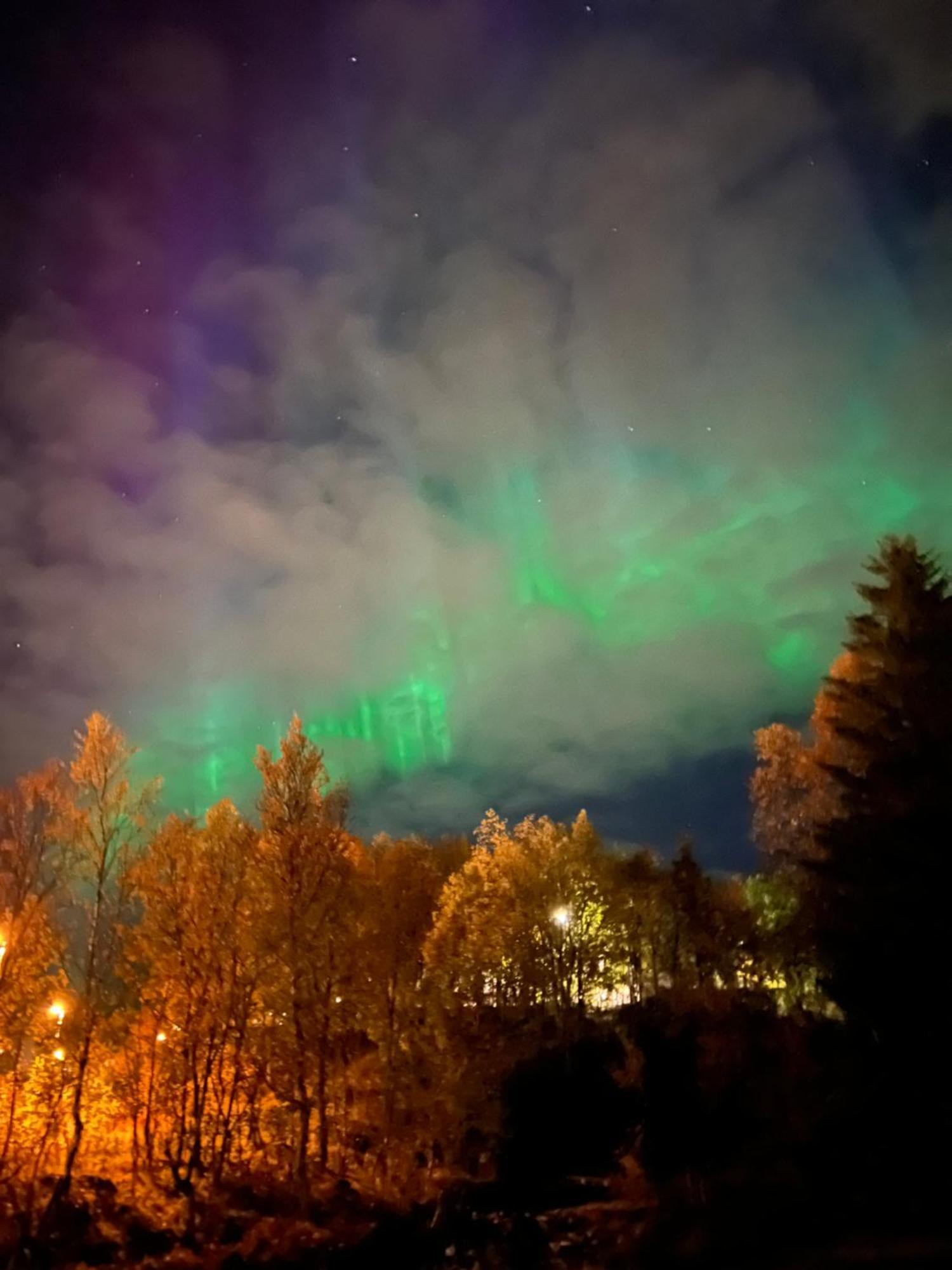 Appartement Flott Leilighet, Nydelig - Gratis Parkering Tromsø