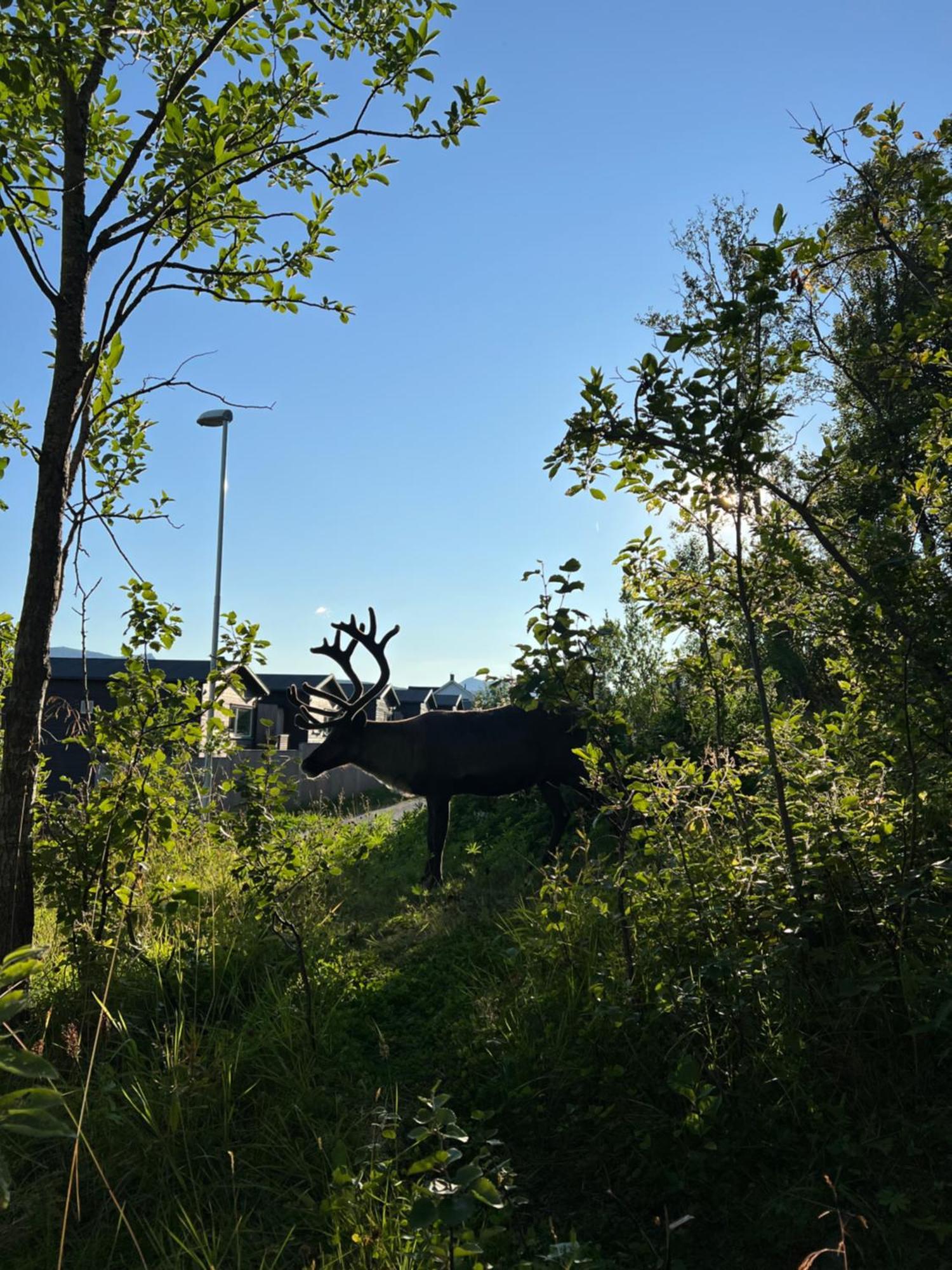 Flott Leilighet, Nydelig - Gratis Parkering