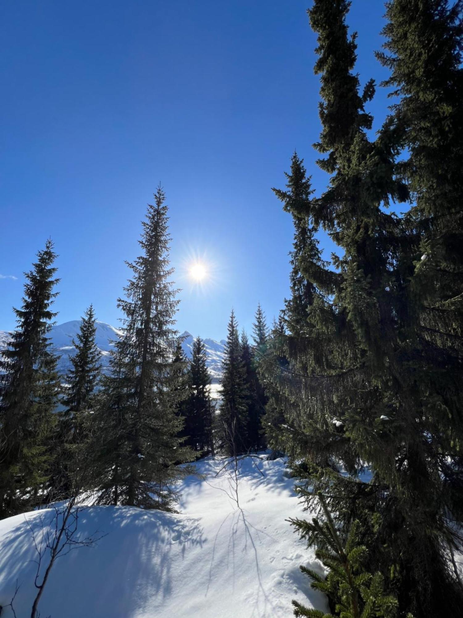 Appartement Flott Leilighet, Nydelig - Gratis Parkering Tromsø
