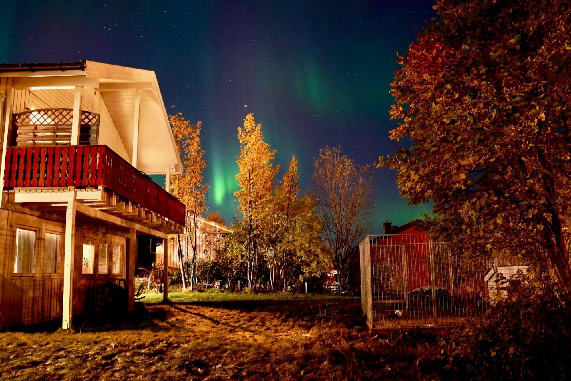 Apartment Fredelig Med Utsiktsplass Til Nordlys