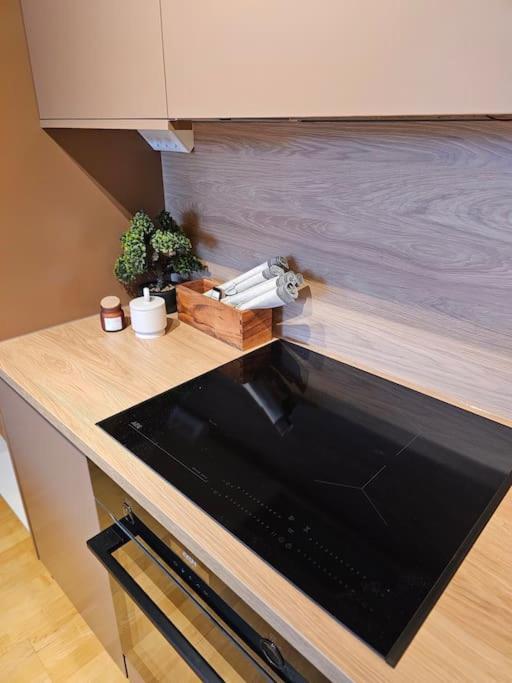 Apartment Stylish With Mountain View Tromso