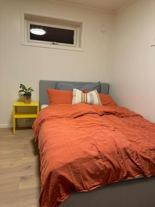 Hybelleilighet I Flott Endegate *