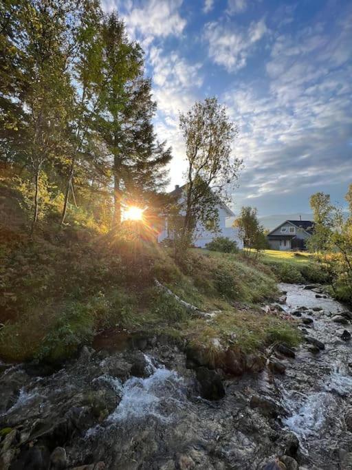 Apartment Hybelleilighet I Flott Endegate *