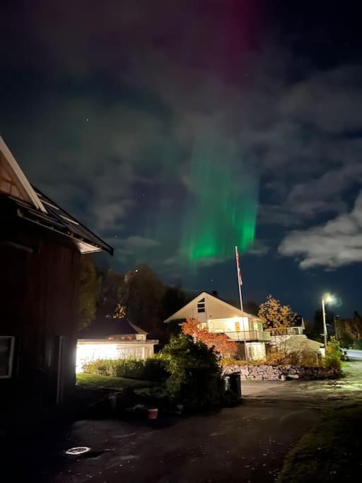 Apartment Hybelleilighet I Flott Endegate Tromso