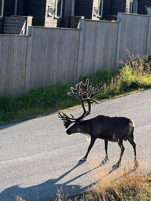 Hybelleilighet I Flott Endegate *