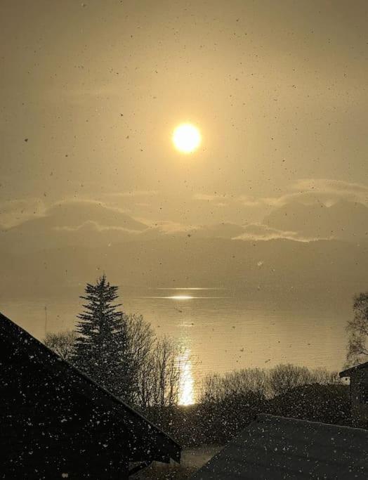 Hybelleilighet I Flott Endegate Apartment Tromso