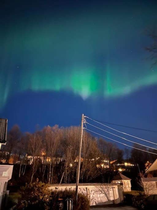 Apartment Hybelleilighet I Flott Endegate Tromso