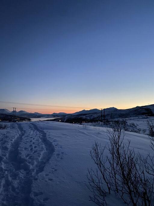 Aurora Appartement Tromsø