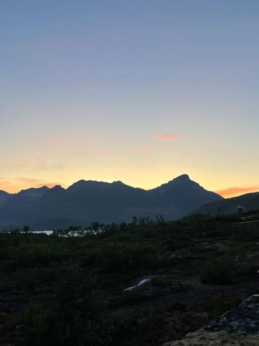 Aurora * Tromsø