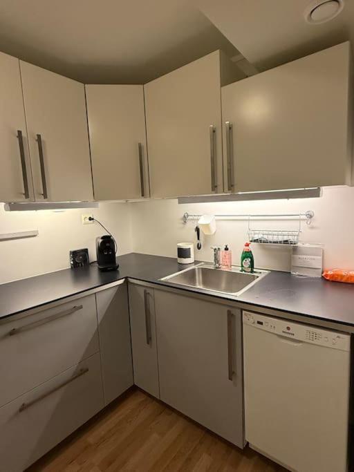 Appartement Aurora *