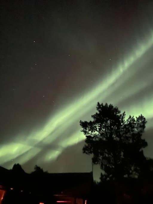 Apartment Aurora Borealis *