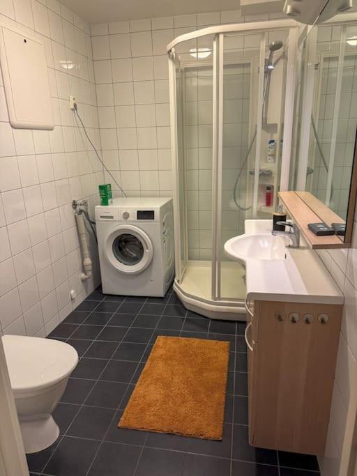 Aurora Borealis Apartment Tromso